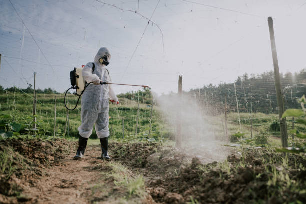 Best Best Pest Control Companies  in Brittany Farms The Highlands, PA
