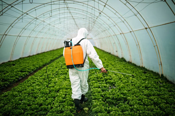 Pest Control for Restaurants in Brittany Farms The Highlands, PA