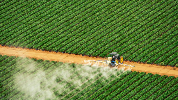 Best Wasp Removal Services  in Brittany Farms The Highlands, PA