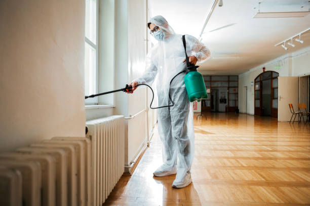 Best Rat Extermination Near Me  in Brittany Farms The Highlands, PA
