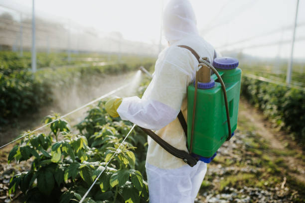 Best Pest Inspection Near Me  in Brittany Farms The Highlands, PA